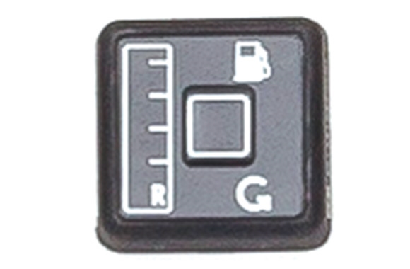 GI F5 SWITCH