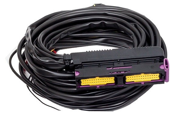 GI F1 4 CYL WIRING
